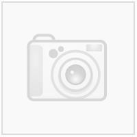 Stavanger IF J2011l logo N Transfermerke 130mm x 55mm